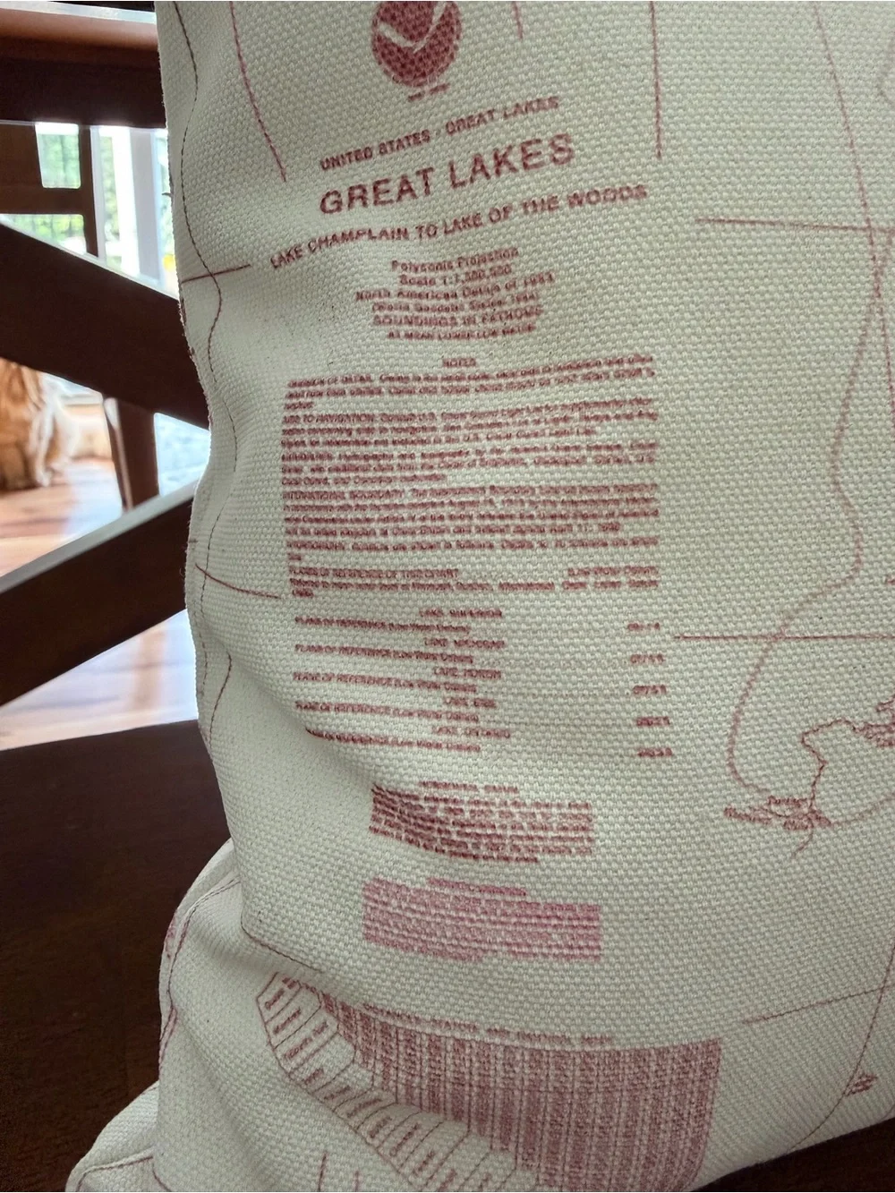 Map Print Decorative Pillow - Pink and Cream